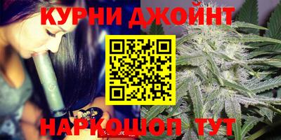 гидра Лесосибирск
