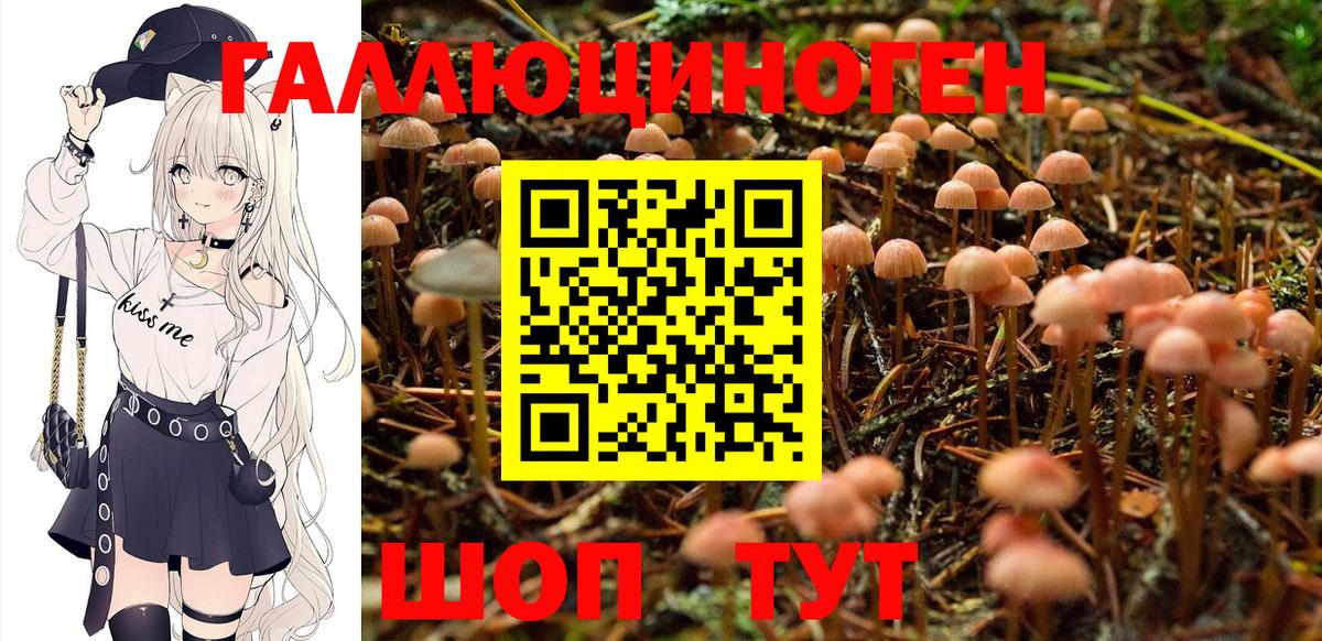 Экстази  Ишим  Каннабис  Вход с VPN  Героин  ГАШ  Меф   Альфа ПВП СК  