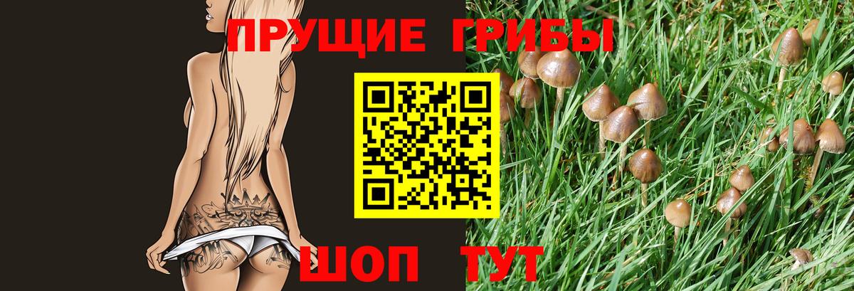 Галлюциногенные грибы Cubensis Ишим