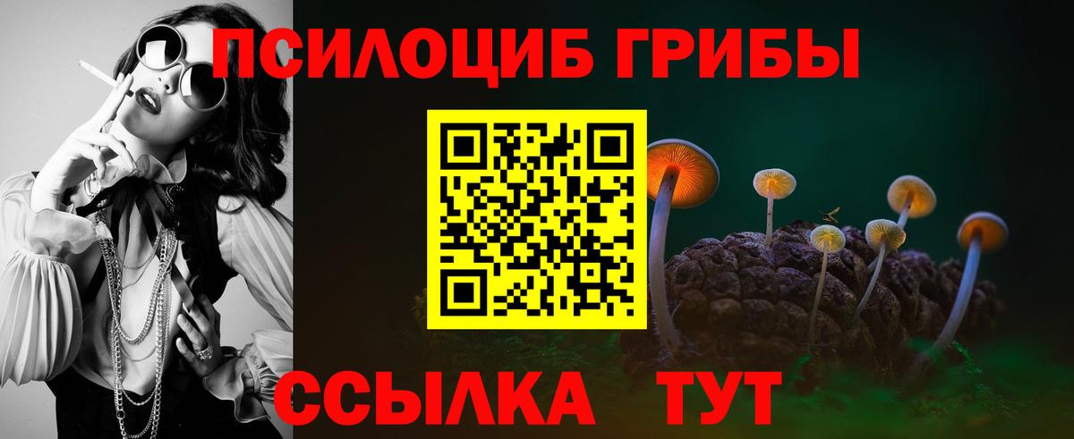 купить закладку  Вход с VPN  Псилоцибиновые грибы Psilocybe  Ишим  Псилоцибиновые грибы мицелий 